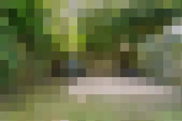 Ankermonde 20 Nieuwegein thumbnail 44
