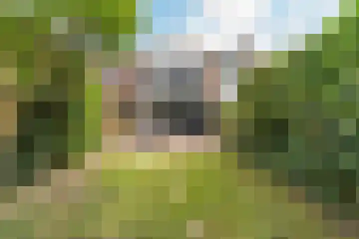 Ankermonde 20 Nieuwegein thumbnail 45
