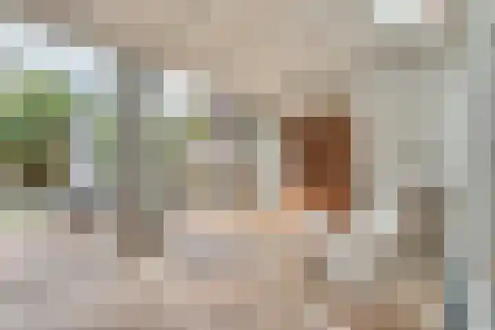 Ankermonde 20 Nieuwegein thumbnail 5
