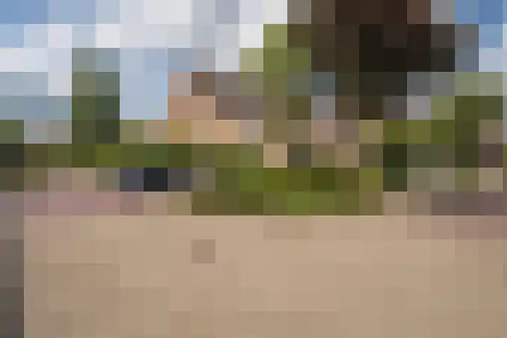 Ankermonde 20 Nieuwegein thumbnail 8