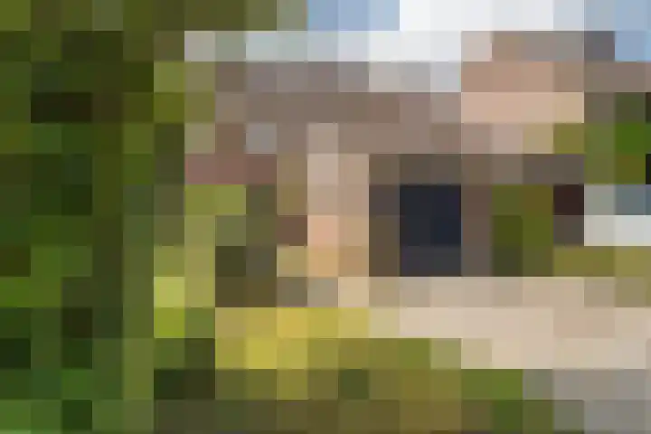 Ankermonde 20 Nieuwegein thumbnail 9