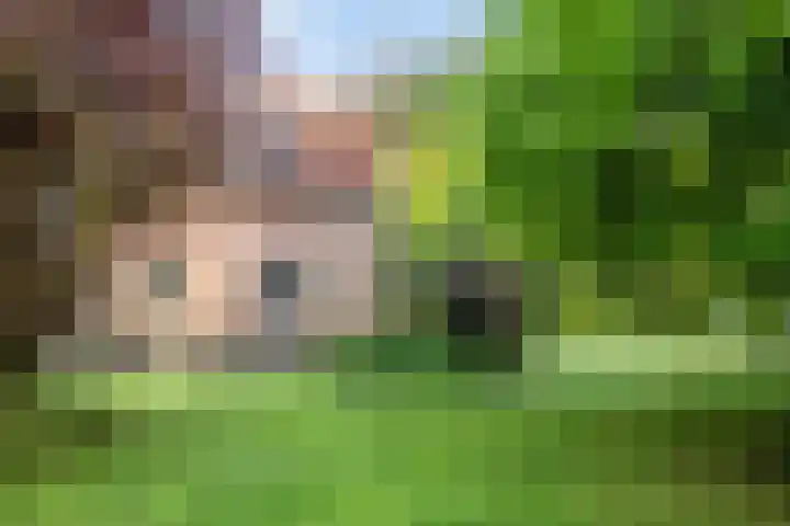 Ankerpad 10 Espel thumbnail 10