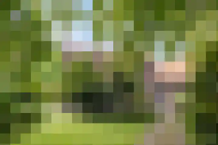 Ankerpad 10 Espel thumbnail 11