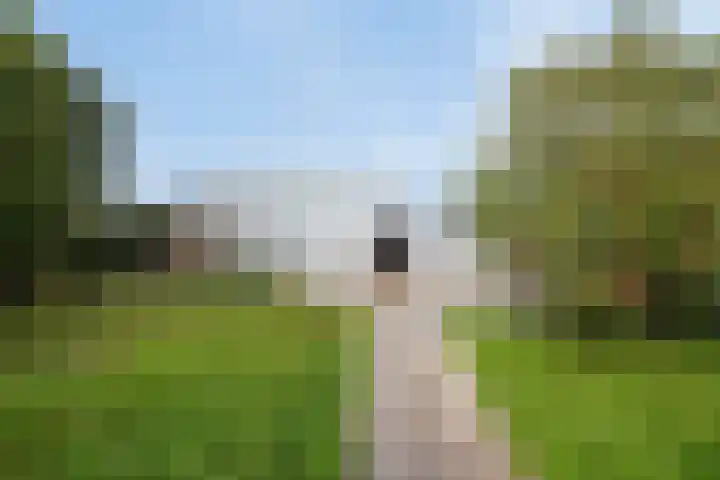 Ankerpad 10 Espel thumbnail 12