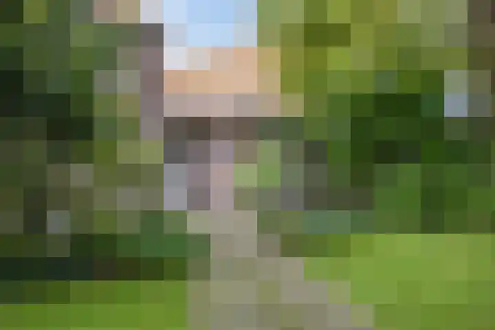 Ankerpad 10 Espel thumbnail 15