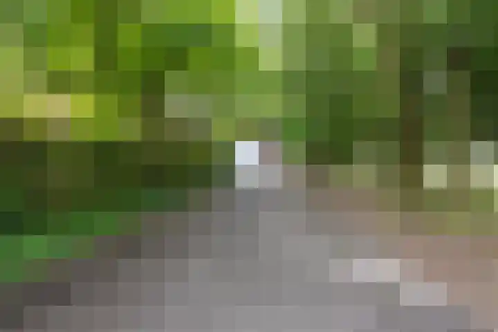 Ankerpad 10 Espel thumbnail 16