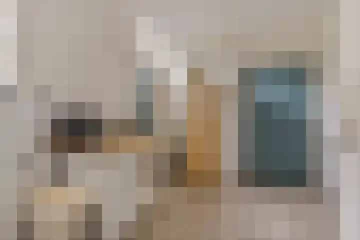Ankerpad 10 Espel thumbnail 32