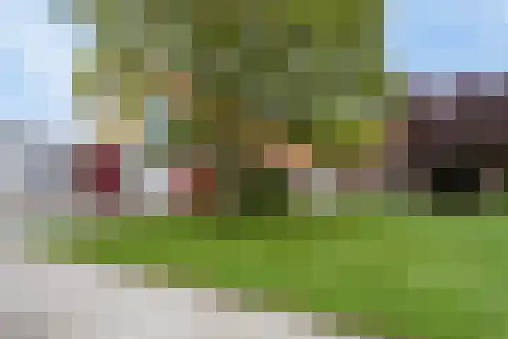 Ankerpad 10 Espel thumbnail 47