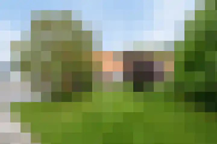 Ankerpad 10 Espel thumbnail 49