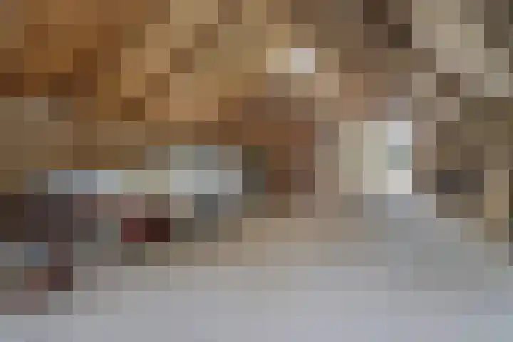Ankerpad 10 Espel thumbnail 62