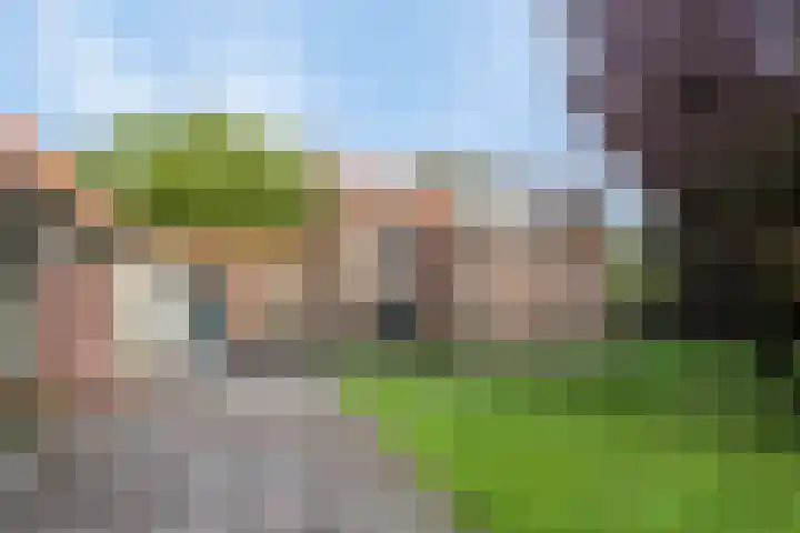 Ankerpad 10 Espel thumbnail 8