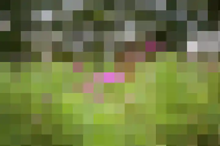 Ankerpad 10 Espel thumbnail 9