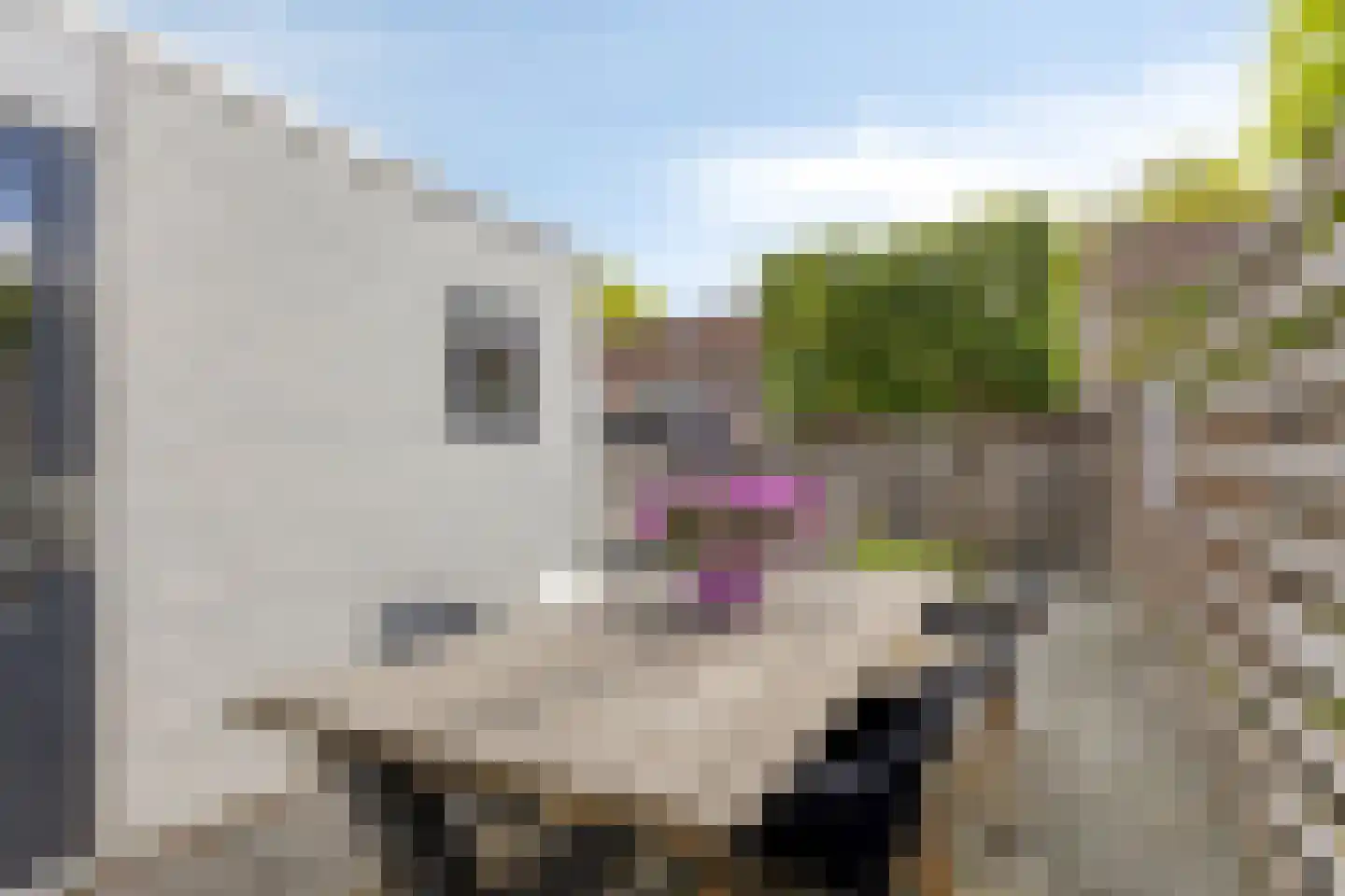 Ankerpad 5 Sneek thumbnail 39