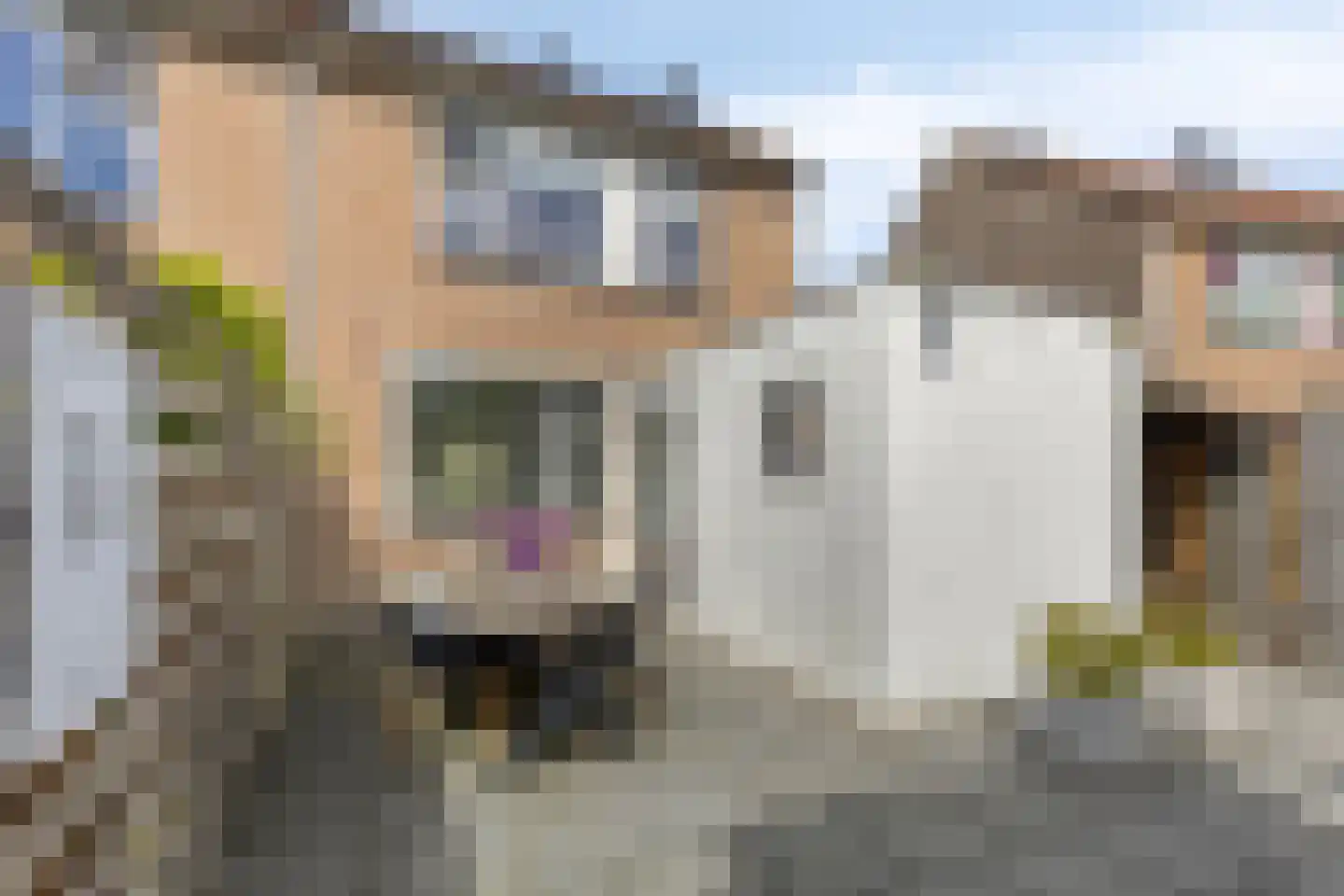Ankerpad 5 Sneek thumbnail 42