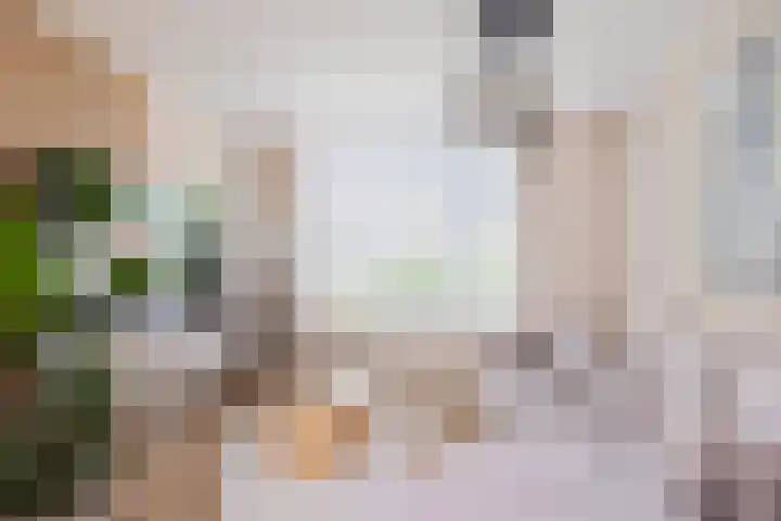 Ankerpad 7 Sneek foto 2