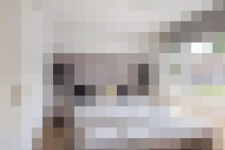 Ankerpad 7 Sneek thumbnail 21