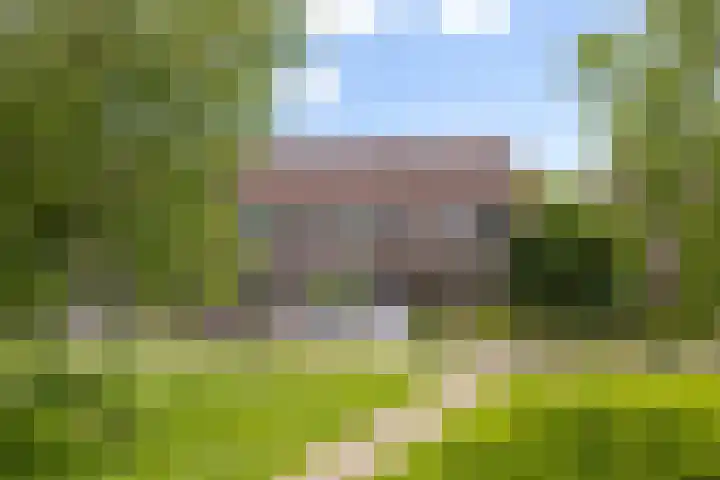 Ankerpad 7 Sneek foto 3