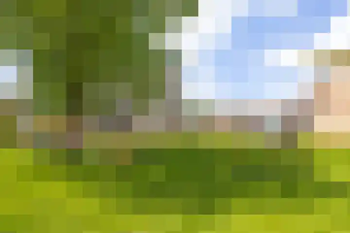 Ankerpad 7 Sneek thumbnail 30