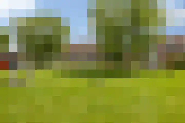 Ankerpad 7 Sneek thumbnail 32