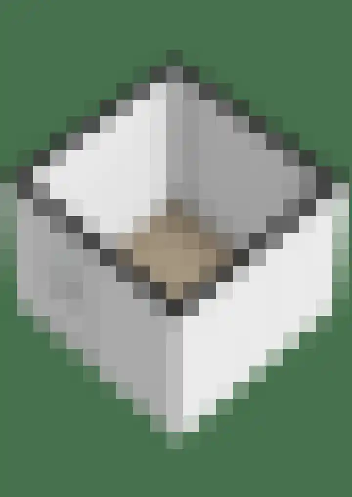 Ankerpad 7 Sneek thumbnail 42