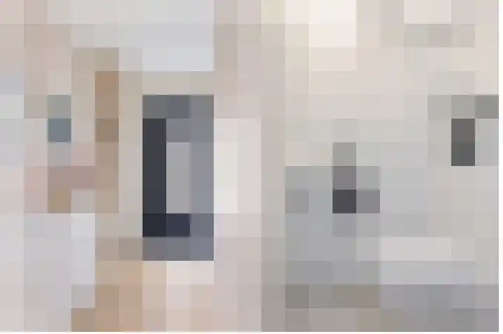Ankerpad 7 Sneek thumbnail 7