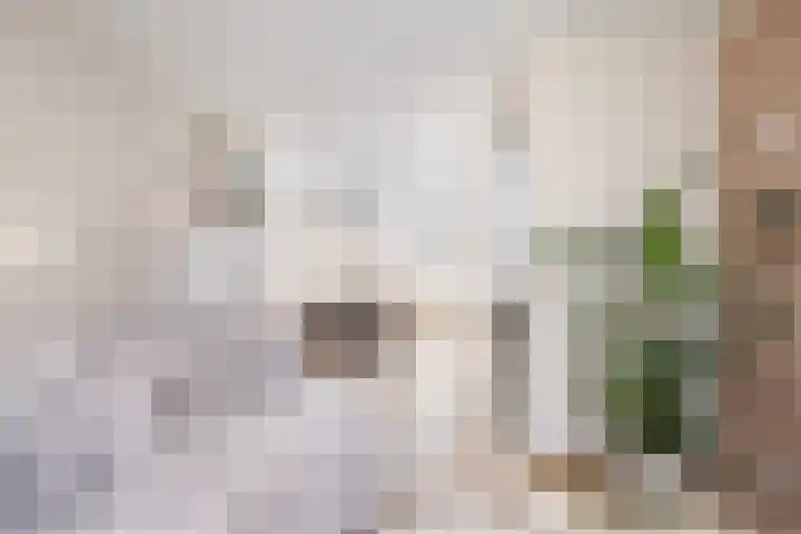 Ankerpad 7 Sneek thumbnail 8
