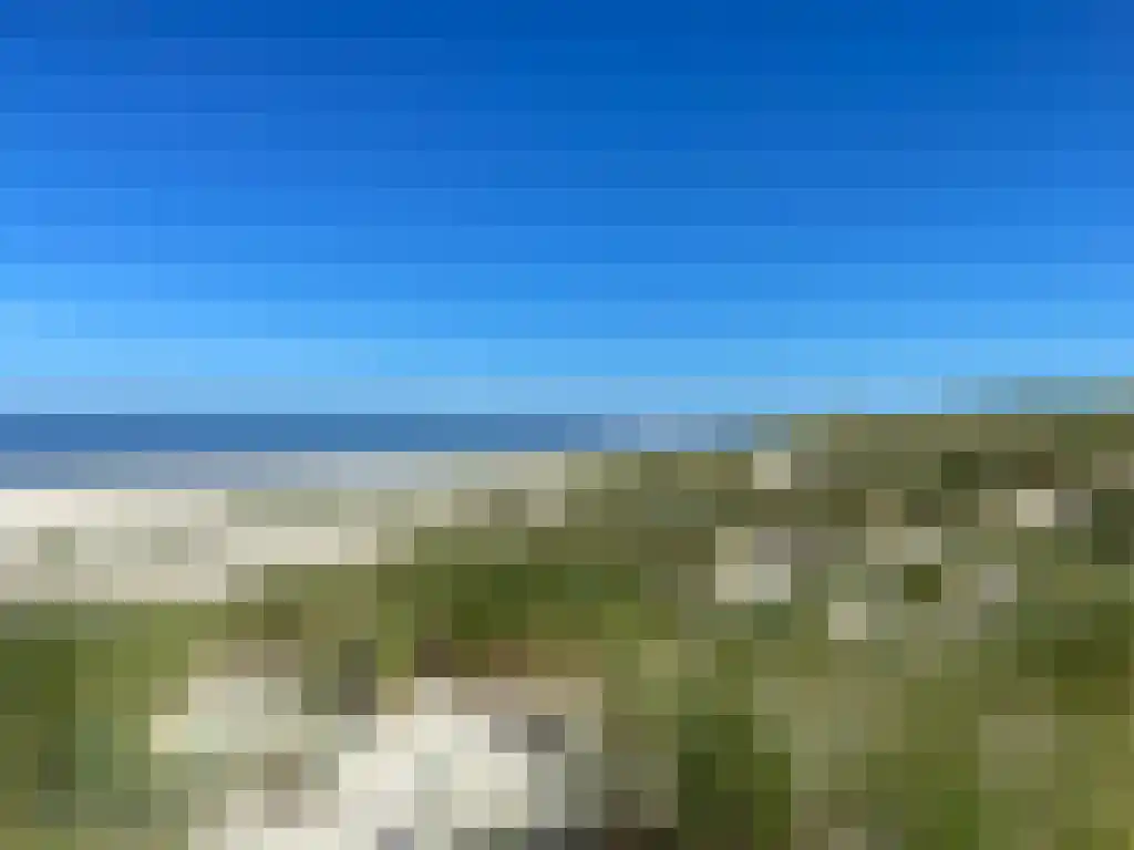 Ankerplaats 12 Vlieland thumbnail 20