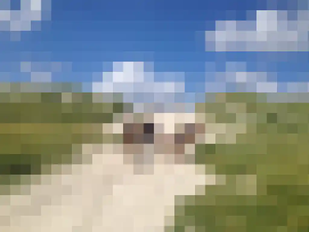Ankerplaats 12 Vlieland thumbnail 21