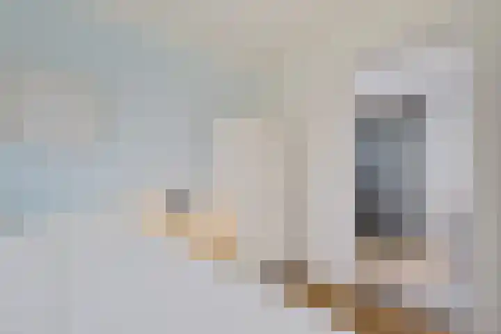 Ankerplaats 19 Vlieland thumbnail 10