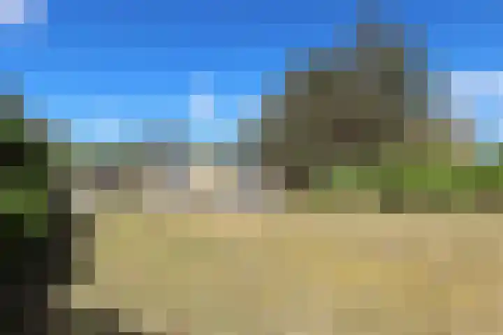 Ankerplaats 19 Vlieland thumbnail 16