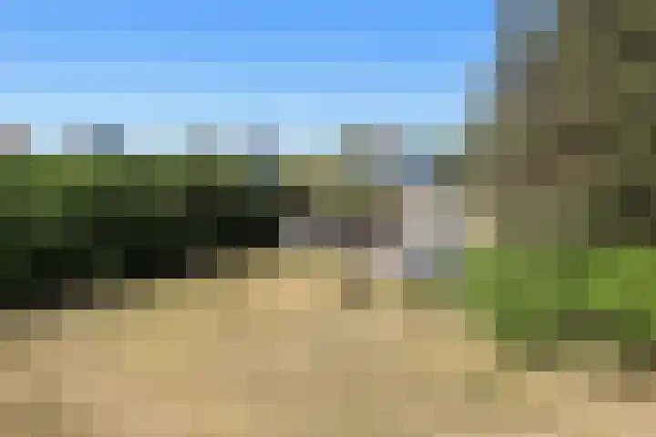 Ankerplaats 19 Vlieland thumbnail 18