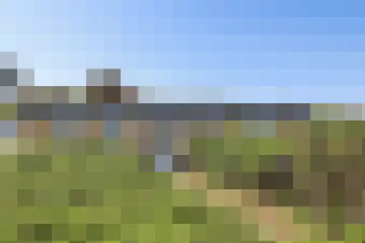 Ankerplaats 19 Vlieland thumbnail 19