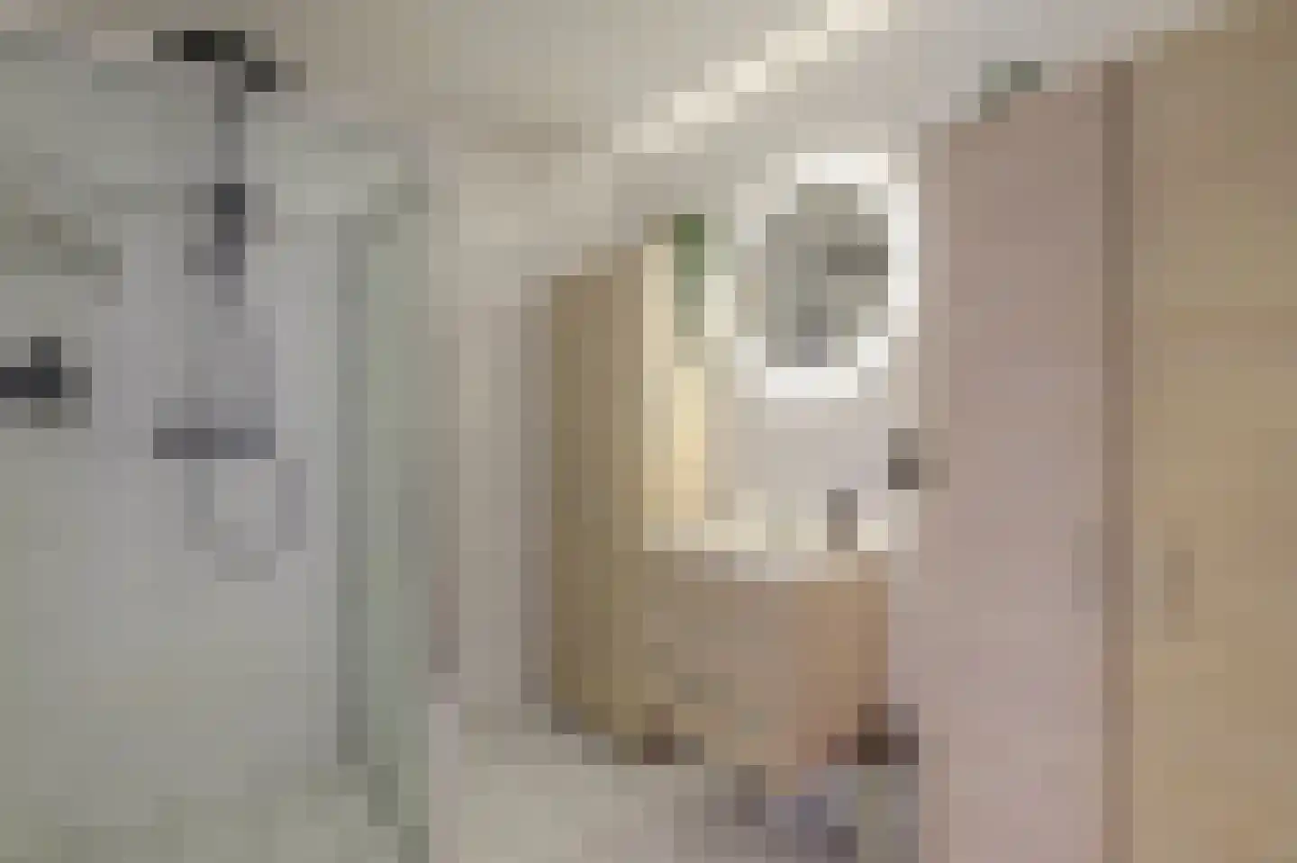 Ankerplaats 32 Ridderkerk thumbnail 30