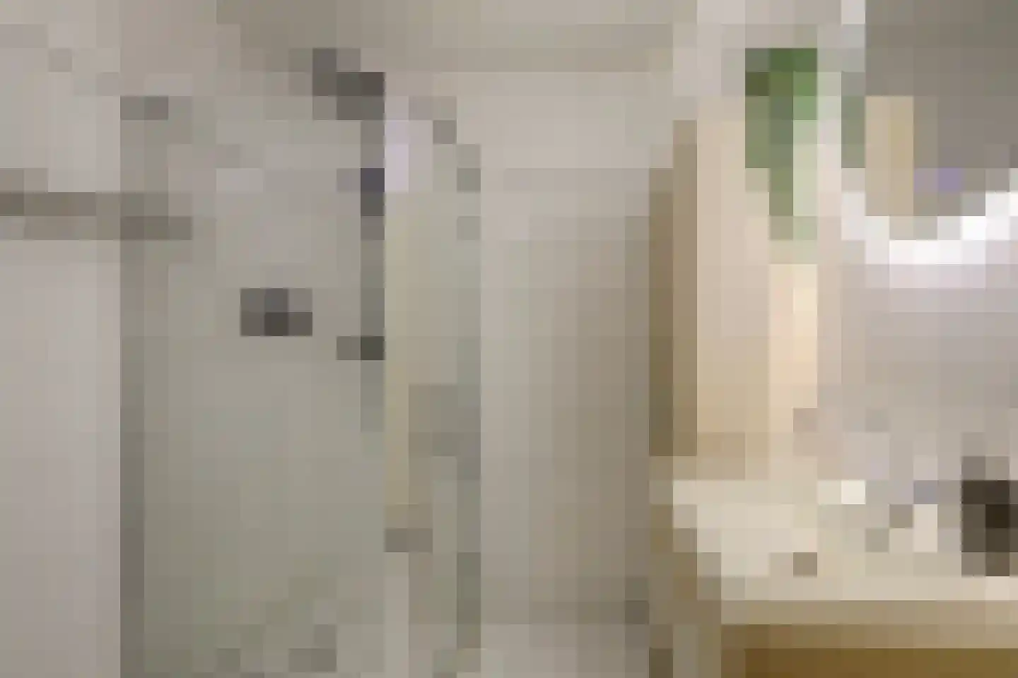 Ankerplaats 32 Ridderkerk thumbnail 31