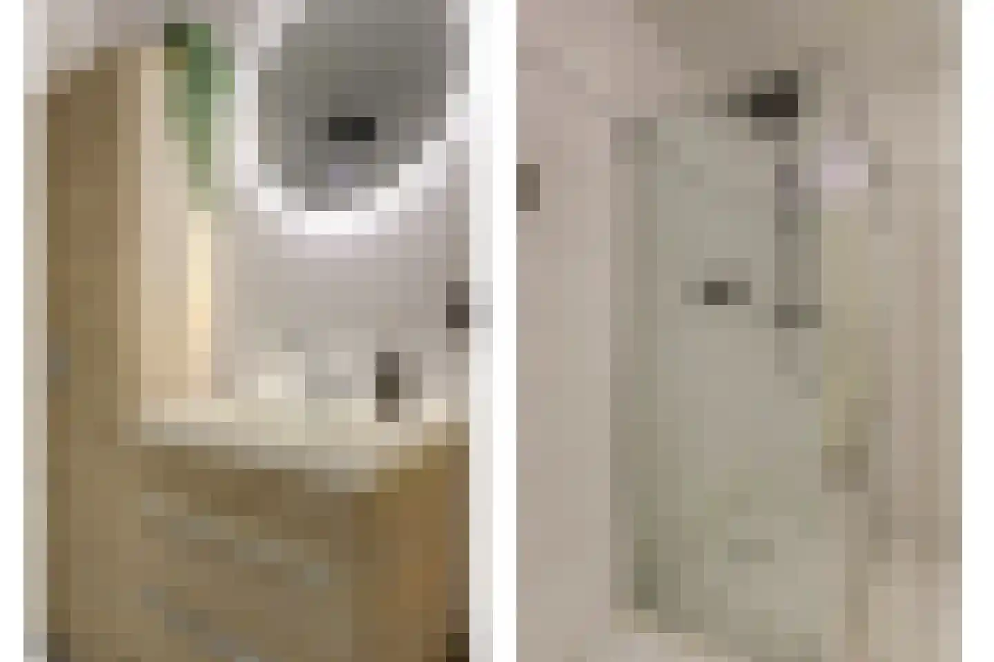 Ankerplaats 32 Ridderkerk thumbnail 32