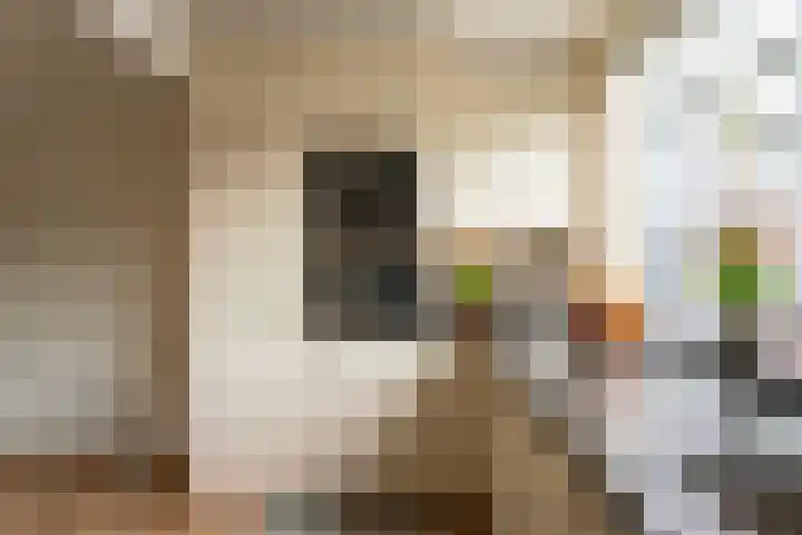 Ankerplaats 68 Katwijk thumbnail 10