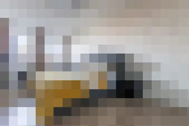 Ankersmidplein 125 Zaandam thumbnail 31