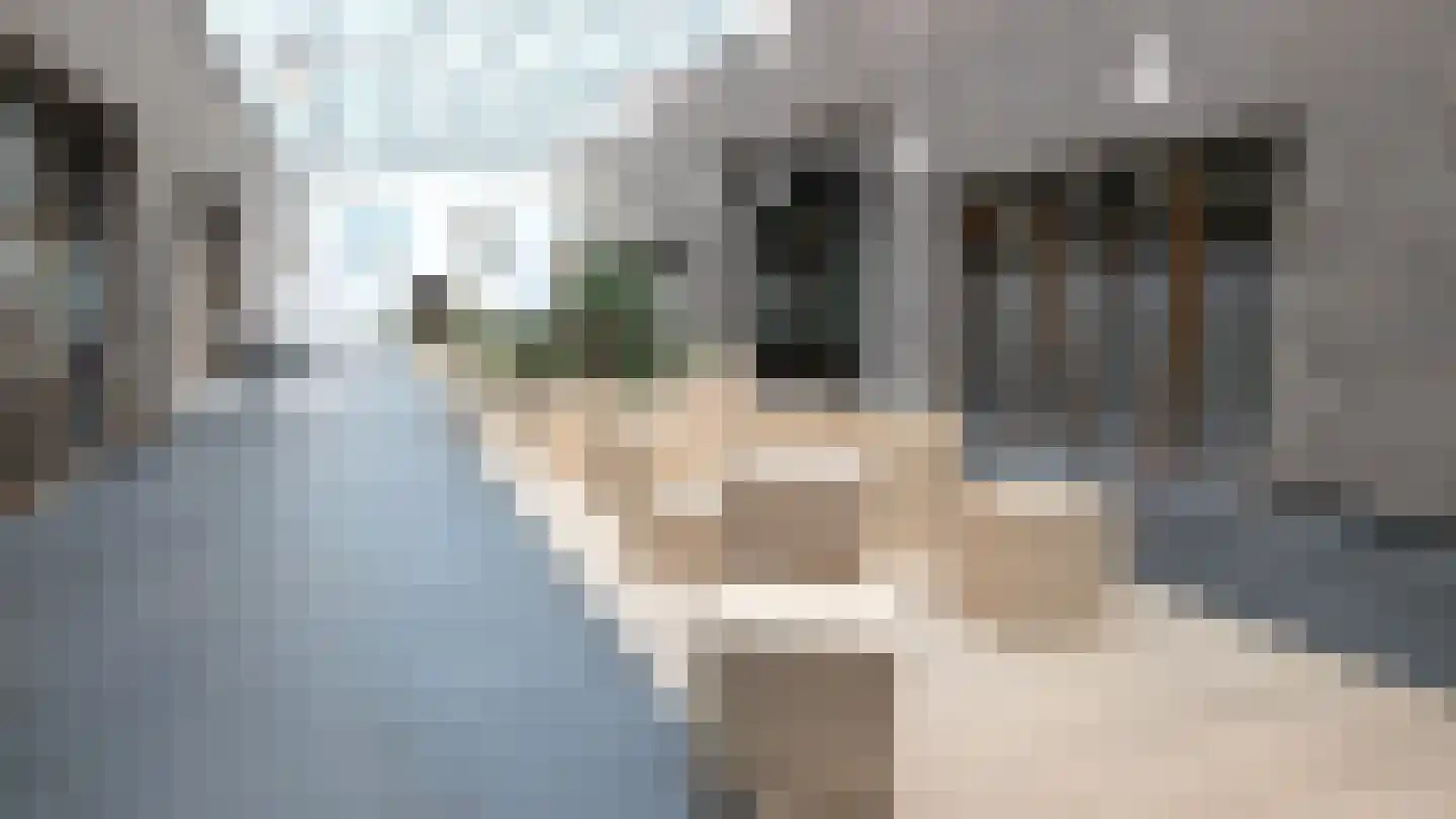 Ankersmidplein 127 Zaandam thumbnail 47