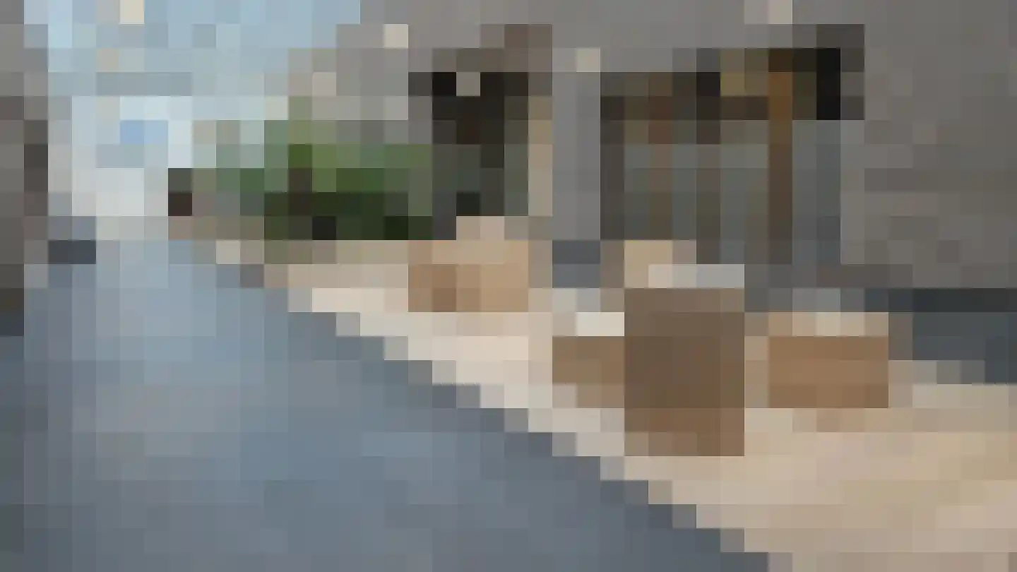 Ankersmidplein 127 Zaandam thumbnail 48