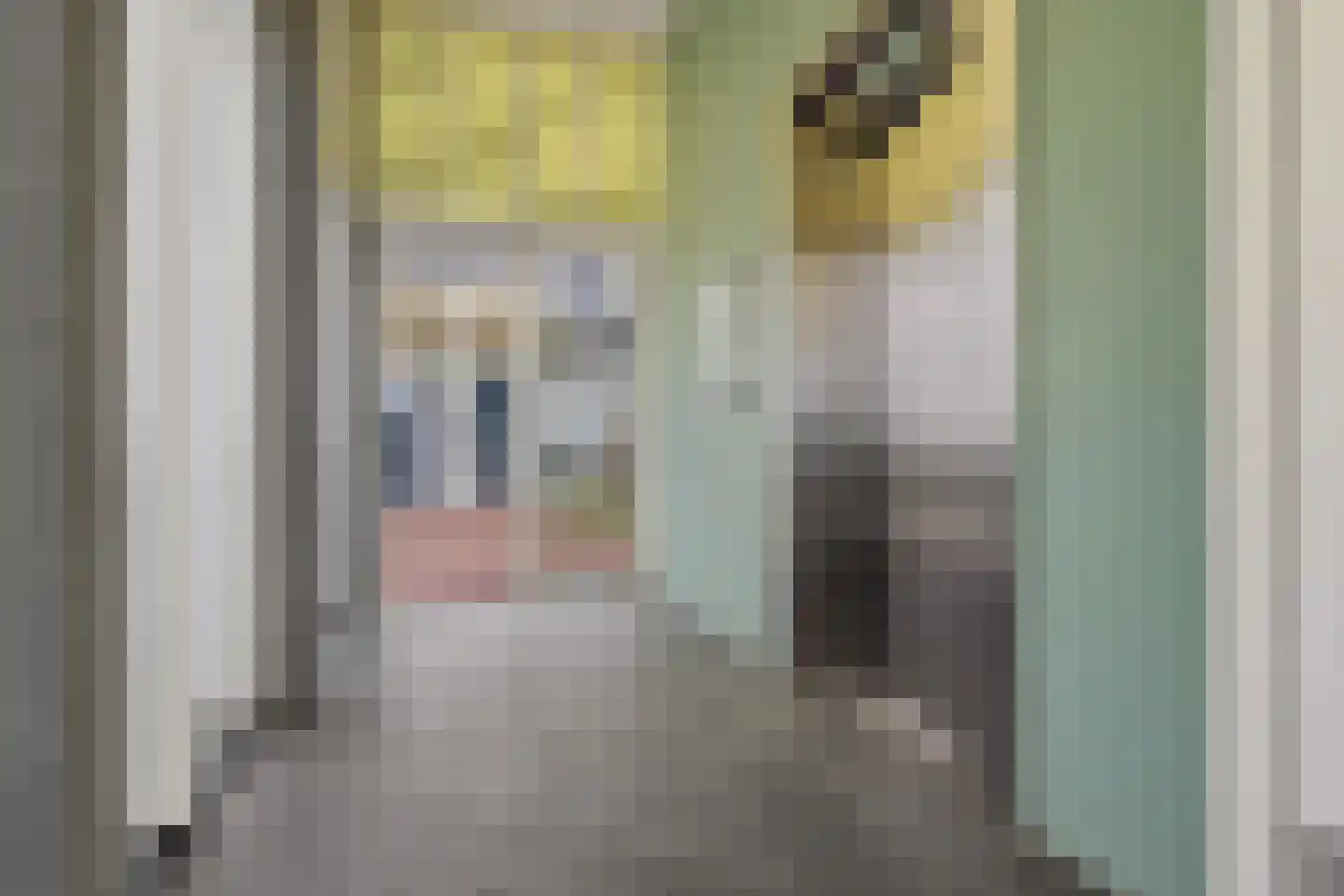 Ankersmidplein 135 Zaandam thumbnail 9