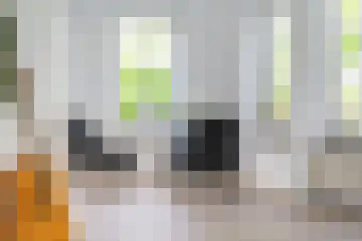 Ankersmitterij 10 Workum thumbnail 12