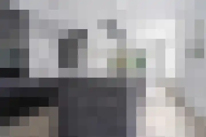 Ankersmitterij 10 Workum thumbnail 17