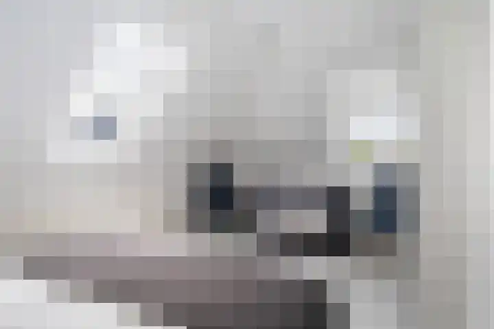 Ankersmitterij 10 Workum thumbnail 27