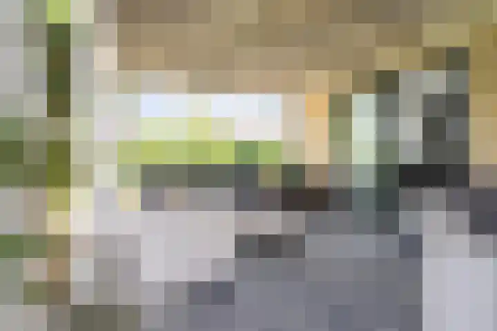 Ankersmitterij 10 Workum thumbnail 40