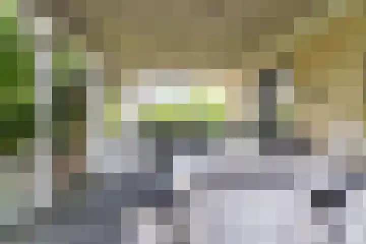 Ankersmitterij 10 Workum thumbnail 41