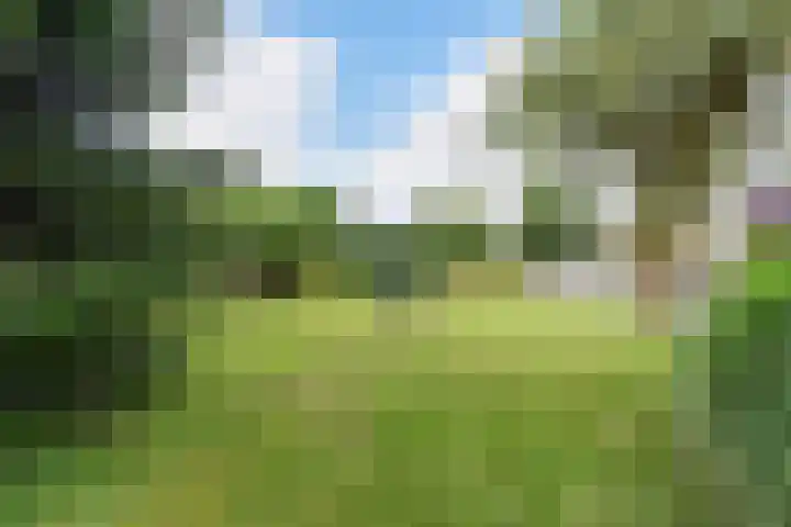 Ankersmitterij 10 Workum thumbnail 43