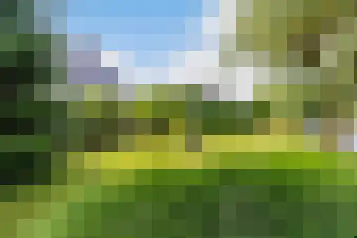 Ankersmitterij 10 Workum thumbnail 44