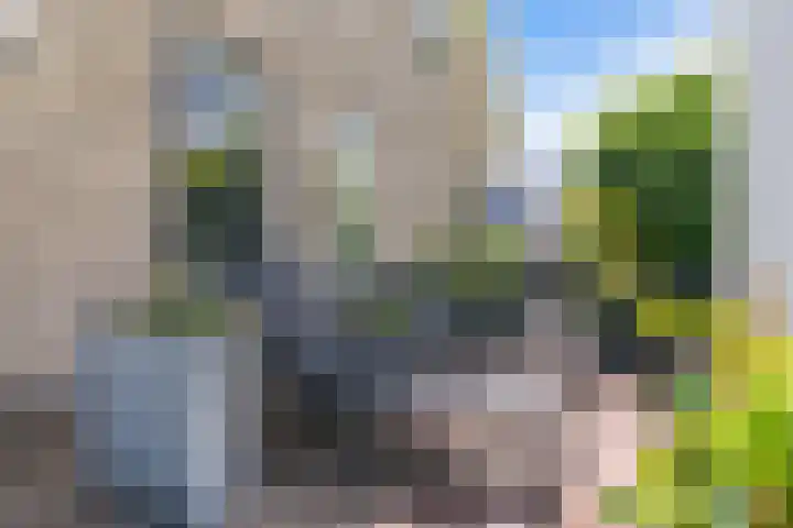 Ankersmitterij 10 Workum thumbnail 51