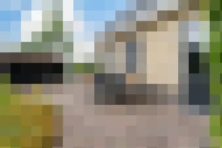Ankersmitterij 10 Workum thumbnail 54