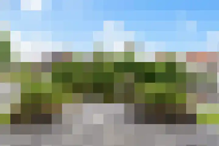 Ankersmitterij 10 Workum thumbnail 58